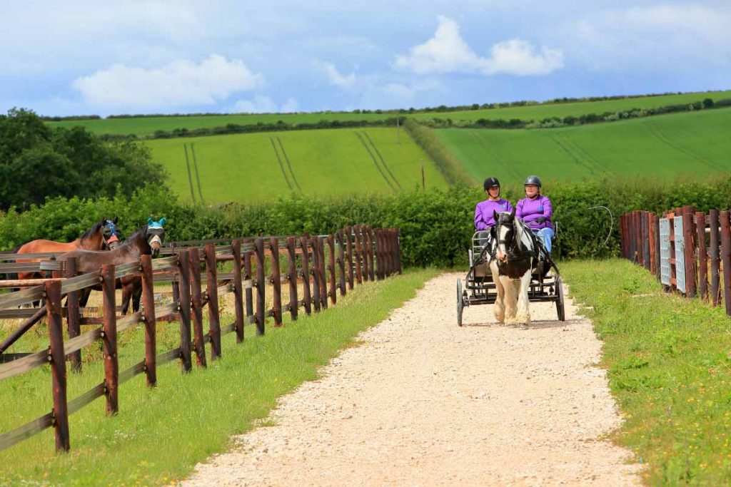 Two carriage riders on the perimeter track
